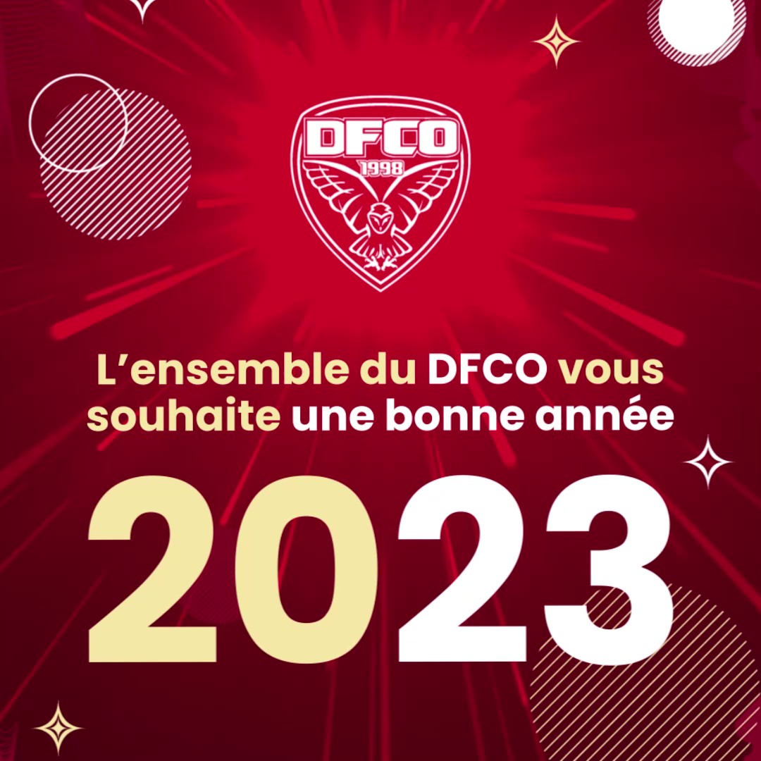 La Ligue vous souhaite une excellente année 2024 ! – Ligue de